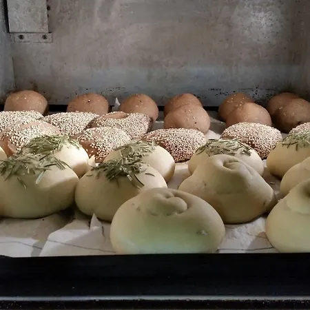 ホテル Jolanda Sport 4*